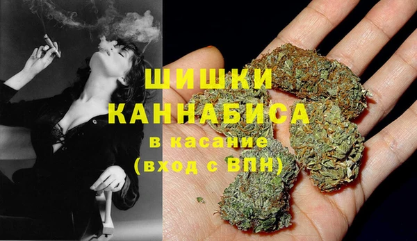 соль курить ск Белокуриха