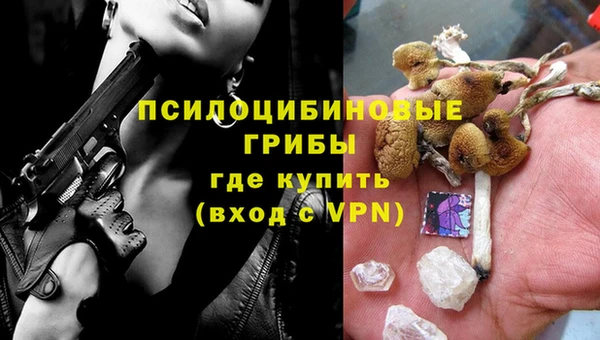 соль курить ск Белокуриха
