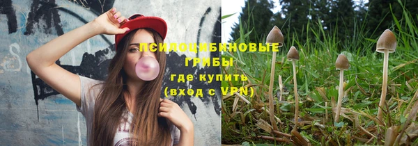 соль курить ск Белокуриха