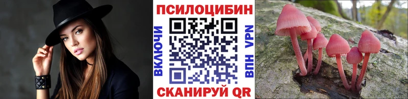 купить наркоту  Кыштым  Псилоцибиновые грибы Psilocybine cubensis 